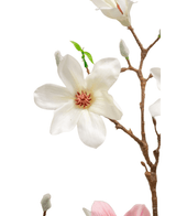 Artificial Branch Magnolia Small -Flowered 89 cm White - Easyplants Artificial Plants & Flowers