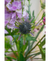 Artificial Branch Distel 68 cm Blue - Easyplants Artificial Plants & Flowers