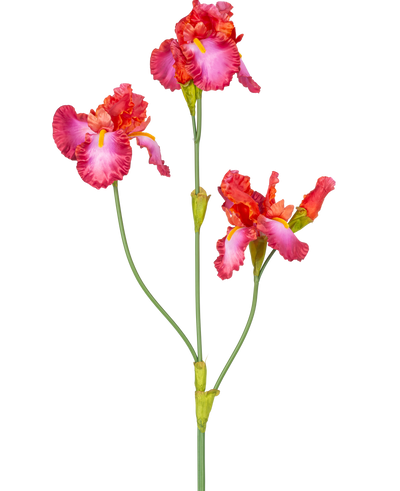 De Kunstbloem Iris 102 cm rood heeft een steel met drie levendige roze en rode bloemen met gele en witte accenten. De groene stelen en knoppen zijn zichtbaar tegen een effen witte achtergrond.