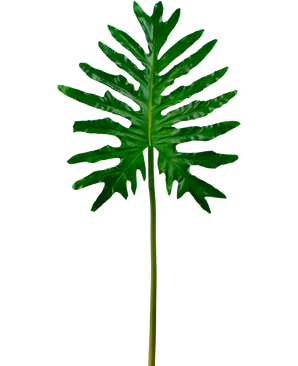 Artificial magazine Philodendron 90cm