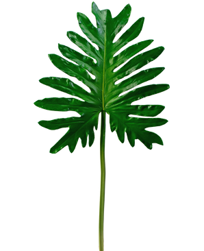 Artificial magazine Philodendron 68cm