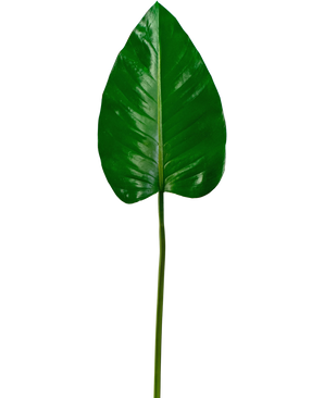 Artificial magazine Alocasia 78cm