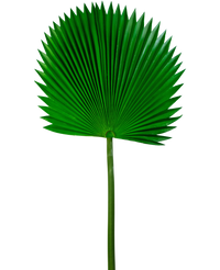 Artificial magazine Washingtonia 105cm