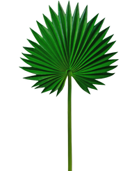 Artificial magazine Washingtonia 73cm