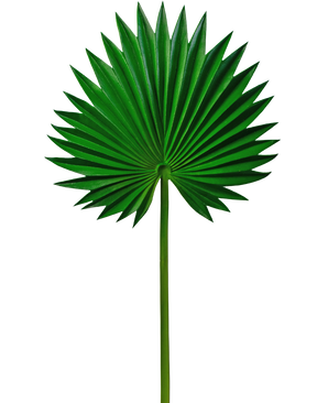 Artificial magazine Washingtonia 73cm