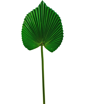 Artificial leaf 73 cm