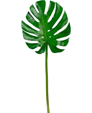 Artificial magazine Monstera 88cm