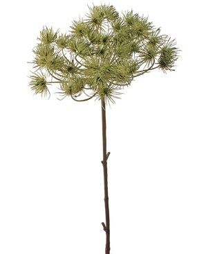 Artificial flower bear claw 100 cm
