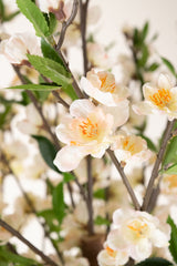 Artificial plant cherry blossom 180 cm cream - Easyplants Artificial Plants & Flowers