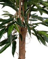 Artificial plant lungfolia 180 cm - Easyplants Artificial Plants & Flowers