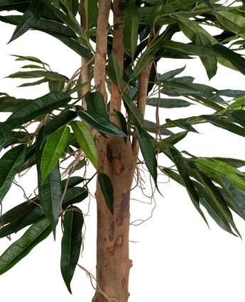 Artificial plant lungfolia 180 cm - Easyplants Artificial Plants & Flowers