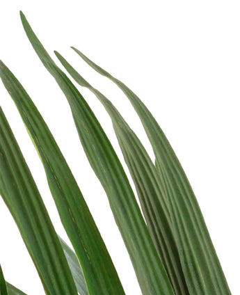 Artificial plant Kentia Palm 120 cm - Easyplants Artificial Plants & Flowers
