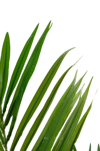 Artificial plant Kentia Palm 150 cm - Easyplants Artificial Plants & Flowers