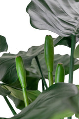 Artificial plant Alocasia 180 cm - Easyplants Artificial Plants & Flowers