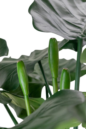 Artificial plant Alocasia 180 cm - Easyplants Artificial Plants & Flowers