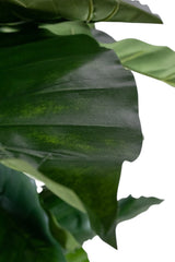 Artificial plant Alocasia 180 cm - Easyplants Artificial Plants & Flowers