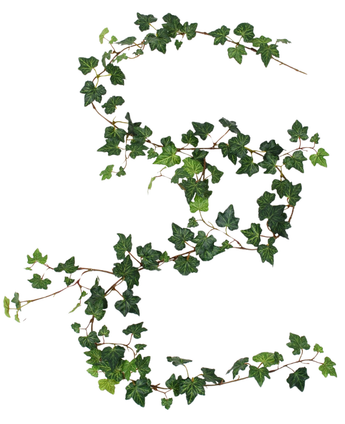 An artificial hanging plant Ivy garland deluxe of 180 cm, green, is draped in the shape of an S on a white background.