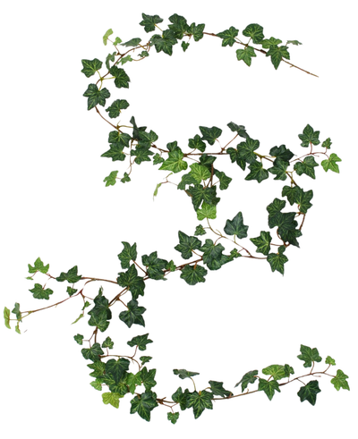 An artificial hanging plant Ivy garland deluxe of 180 cm, green, is draped in the shape of an S on a white background.