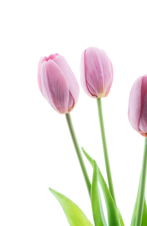 Artificial tulip bouquet real touch purple 40 cm