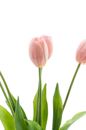 Artificial tulip bouquet Real Touch pink 40 cm