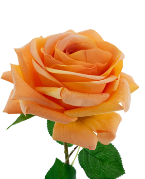 Artificial flower Crystal Touch Moisturizing Roos Real Touch Orange 43 cm