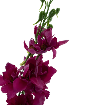 Kunstbloem Ridderspoor Real Touch pink 90 cm