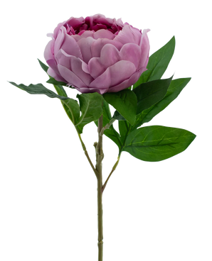 Kunstbloem Lotus peony Real Touch Purple 58 cm