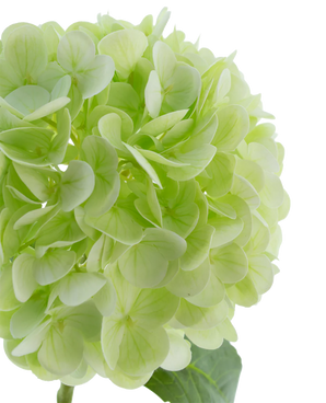 Artificial flower Hortensia Real Touch light green 49 cm