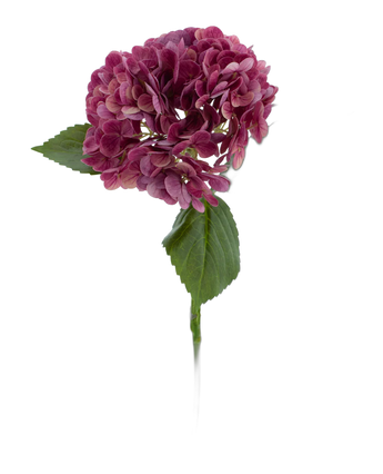 Artificial flower Charlotte Hortensia Real Touch Purple 49 cm - Easyplants Artificial Plants & Flowers