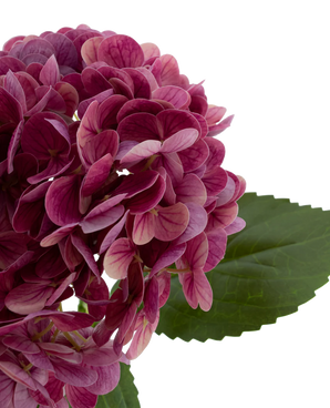 Artificial flower Charlotte Hortensia Real Touch Purple 49 cm
