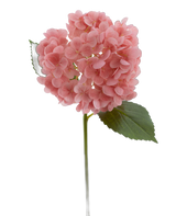 Artificial flower Charlotte Hortensia Real Touch pink 49 cm - Easyplants Artificial Plants & Flowers