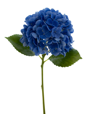 Artificial flower Charlotte Hortensia Real Touch Blue 49 cm