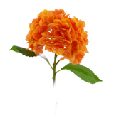 Artificial flower Charlotte Hortensia Real Touch Orange 49 cm - Easyplants Artificial Plants & Flowers