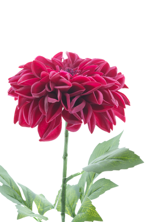Artificial flower Dahlia Real Touch Purple 72 cm