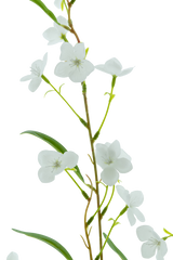 Artificial flower Alstroemeria Real Touch White 100 cm - Easyplants Artificial Plants & Flowers
