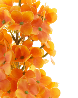 Artificial flower Snowball Real Touch Orange 58 cm