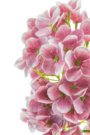Artificial flower Snowball Real Touch pink 58 cm