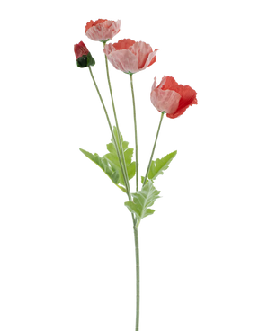 Artificial flower poppy real touch red 60 cm