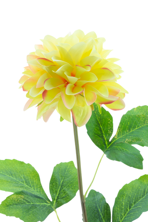 Artificial flower Dahlia Real Touch Champagne 73 cm