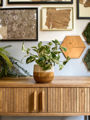 Artificial plant golden vine in pot 25 cm - Easyplants Artificial Plants & Flowers