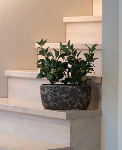 The Artificial Laurel in a 43 cm UV pot, with its dark green leaves, stands on a light wooden staircase next to a beige wall.