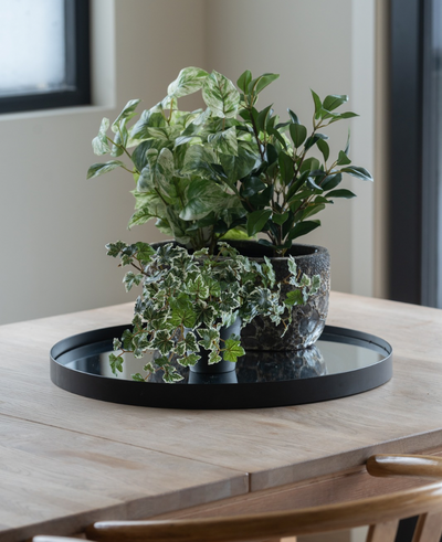 On a light wooden table by the window is a black tray with three Artificial Ivy Deluxe green-white in pots of 22 cm UV; two wooden chairs are partially visible.