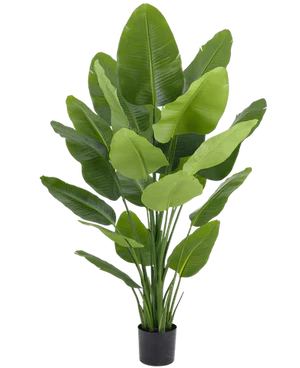 Artificial Strelitzia