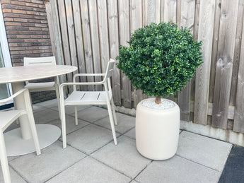 Artificial Buxus on Stam D60 CM - Easyplants Artificial Plants & Flowers