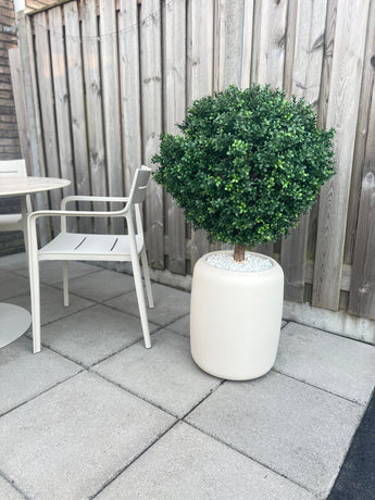 Artificial Buxus on Stam D60 CM - Easyplants Artificial Plants & Flowers