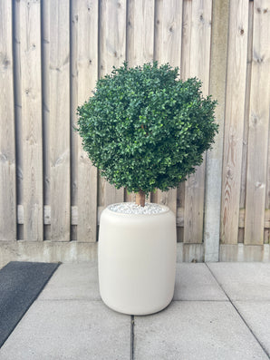 Artificial Buxus on Stam D60 CM - Easyplants Artificial Plants & Flowers