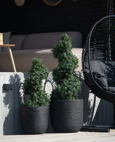 Twee Kunst Buxus Spiraal Romeinse stijl UV 90cm vormsnoeiplanten met spiraalvormige bladeren staan op een betonnen patio naast een zwarte hangstoel en een moderne buitenbank op de achtergrond.