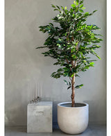 Artificial plant ficus green 180 cm - Easyplants Artificial Plants & Flowers