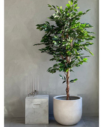 Artificial plant ficus green 180 cm - Easyplants Artificial Plants & Flowers