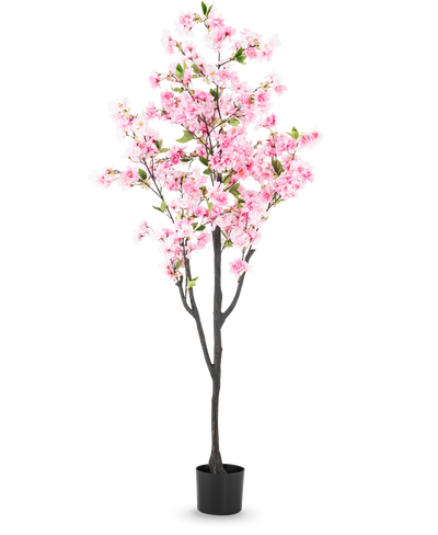 De Kunst Kersenbloesem 180 cm roze heeft roze bloesems en groene bladeren in een kleine zwarte pot, tegen een effen witte achtergrond.
